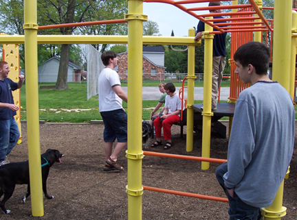 Amongst the jungle gym