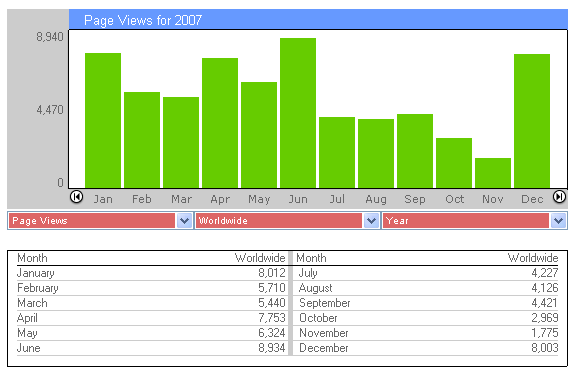 Page Views 2007